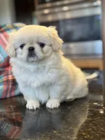 processed/3395ca40-73e7-489a-9325-ef2fa1de27b8/listing/f7c37523-d8a9-4139-972c-60779fede92d/108f6a43-bfdc-40e1-8608-93d8946490a4