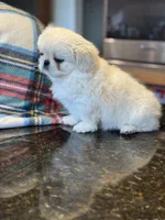 processed/3395ca40-73e7-489a-9325-ef2fa1de27b8/listing/f7c37523-d8a9-4139-972c-60779fede92d/e4b35a61-4c38-4e8a-87c8-5423c478f4f9