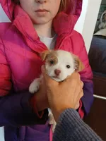 processed/33a08fd2-f219-4901-abf7-9c61a3faa64a/listing/070596ba-329e-4450-9ce9-17cb63043f2c/5a8acbd5-e6d9-43ef-aef4-e2459d8e06dc