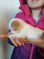 processed/33a08fd2-f219-4901-abf7-9c61a3faa64a/listing/070596ba-329e-4450-9ce9-17cb63043f2c/6c681824-1098-4eae-b4b1-1c921a4eddca