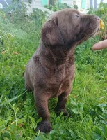 processed/33a08fd2-f219-4901-abf7-9c61a3faa64a/listing/2e7e6dfa-9637-402b-905f-197d91e93758/9b30bc63-fe8f-41b8-90c0-25cb811231f5