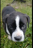 processed/33a08fd2-f219-4901-abf7-9c61a3faa64a/listing/48ee4207-c1b5-45d5-a226-544f70547ff4/495cb4c1-6582-42f5-bec9-c379b440c266