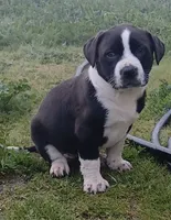 processed/33a08fd2-f219-4901-abf7-9c61a3faa64a/listing/48ee4207-c1b5-45d5-a226-544f70547ff4/858a2b90-d251-40ff-9130-e4dd1a23fdd8