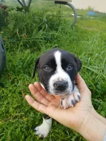 processed/33a08fd2-f219-4901-abf7-9c61a3faa64a/listing/48ee4207-c1b5-45d5-a226-544f70547ff4/c0c6bec2-6395-4e84-9e78-ee34d05edd2c