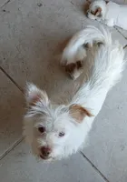 processed/33a08fd2-f219-4901-abf7-9c61a3faa64a/listing/aa87f481-3c54-4a3b-b2e6-38df539936ce/32327986-be00-4563-81b6-3dd7c15ab281