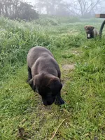 processed/33a08fd2-f219-4901-abf7-9c61a3faa64a/listing/bcb2d225-6ee2-44b1-b07e-3cc32340f9c8/4abcaee1-723d-428f-b70b-cf3bf60e60ce