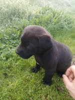 processed/33a08fd2-f219-4901-abf7-9c61a3faa64a/listing/bcb2d225-6ee2-44b1-b07e-3cc32340f9c8/587e54ea-76f2-4a44-96ec-c24d7b0a13cc