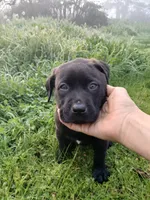 processed/33a08fd2-f219-4901-abf7-9c61a3faa64a/listing/bcb2d225-6ee2-44b1-b07e-3cc32340f9c8/da550205-2921-44fa-8925-effb8c1d1ac3