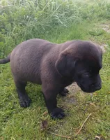 processed/33a08fd2-f219-4901-abf7-9c61a3faa64a/listing/bcb2d225-6ee2-44b1-b07e-3cc32340f9c8/f6024881-e16e-4e26-b6e6-6272587f6b0d