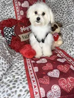 processed/33a6db7c-6a1a-4167-b413-93d6a93f1101/listing/9ec2b7ee-8009-43b2-ae14-94c4a834ef55/40f5444a-f518-4222-a3a2-06a52ff985a2