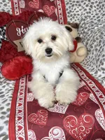 processed/33a6db7c-6a1a-4167-b413-93d6a93f1101/listing/9ec2b7ee-8009-43b2-ae14-94c4a834ef55/920fe499-b94e-4417-900f-e81f84df0264