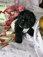 processed/33a6db7c-6a1a-4167-b413-93d6a93f1101/listing/f61eaeb0-f7c1-4b85-b1f1-15fa45d4affc/413ae18f-3aca-48f1-be24-7bea0bda26fd