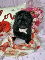 processed/33a6db7c-6a1a-4167-b413-93d6a93f1101/listing/f61eaeb0-f7c1-4b85-b1f1-15fa45d4affc/5ad0d4c4-f85d-4521-82f6-508876ff8e0f