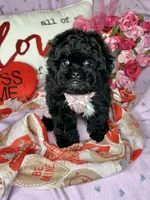 processed/33a6db7c-6a1a-4167-b413-93d6a93f1101/listing/f61eaeb0-f7c1-4b85-b1f1-15fa45d4affc/a1117c67-b0c3-44c4-a00d-69bab99010b0