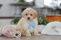 processed/33b2ff1b-6685-41c3-89f2-785806f5f65a/listing/6e9e58c1-cc76-46fe-9cc3-ff70686c0c8d/1a11db10-a30d-41c9-b4cc-7de1b3998614