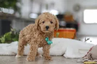 processed/33b2ff1b-6685-41c3-89f2-785806f5f65a/listing/74f7dbec-2b3d-4901-a24b-40312b7ae182/7ea805e1-e80e-4e0b-bac1-39bddb985d74