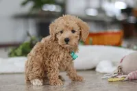 processed/33b2ff1b-6685-41c3-89f2-785806f5f65a/listing/74f7dbec-2b3d-4901-a24b-40312b7ae182/edd6ca8d-62bb-49fa-88b5-6478ee243e9d