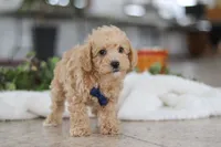 processed/33b2ff1b-6685-41c3-89f2-785806f5f65a/listing/c8bc3b74-ee1a-4474-a050-ee21d4915375/2d68f232-4459-42e6-b926-a8886a545ff8