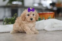 processed/33b2ff1b-6685-41c3-89f2-785806f5f65a/listing/cca78c13-ba87-4221-9e95-bc18fe19251b/f48c729d-a63f-4638-94b6-9dbf21194449