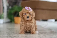 processed/33b2ff1b-6685-41c3-89f2-785806f5f65a/listing/f844841c-d400-4ae3-a75c-0a9a5b51b2d7/4fee35c0-efa4-48bf-ba00-d797300e7279