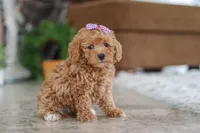 processed/33b2ff1b-6685-41c3-89f2-785806f5f65a/listing/f844841c-d400-4ae3-a75c-0a9a5b51b2d7/b8641087-873b-42df-9757-c5f4f018d941