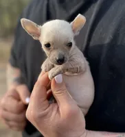 processed/33b3a9c8-83a6-4b7e-bd4a-c4207be5a7da/facility/1248f486-7df8-4c7f-8eb1-81b135dbc4e3