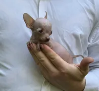 processed/33b3a9c8-83a6-4b7e-bd4a-c4207be5a7da/facility/3958cc93-0a59-44ed-a183-b8ba77ba0777