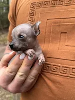 processed/33b3a9c8-83a6-4b7e-bd4a-c4207be5a7da/facility/7bc2ada1-8c3a-4aa9-aee5-7226adce93bb