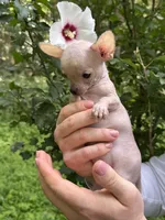 processed/33b3a9c8-83a6-4b7e-bd4a-c4207be5a7da/facility/afa32504-7da9-42a6-8988-4298dd2ad5a4