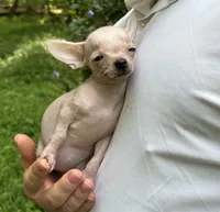 processed/33b3a9c8-83a6-4b7e-bd4a-c4207be5a7da/facility/b4edb3d3-61f5-4b7f-a90e-39731fc2079d