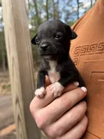 processed/33b3a9c8-83a6-4b7e-bd4a-c4207be5a7da/facility/bf280d5f-114f-412c-aac8-d930f906b8f6