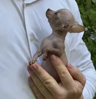 processed/33b3a9c8-83a6-4b7e-bd4a-c4207be5a7da/facility/f1e4f2b8-dcdd-4368-890b-59ceab3e0301