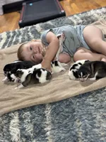 processed/33b6cc54-76e2-43e4-824d-62a5e653719f/facility/895ba24c-6b21-4428-b8d1-5bfaa76b6fa4