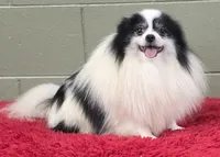 processed/33bafca4-0846-43f8-b47c-15976577b184/listing/208c0327-355b-4b7b-9982-6c0154cdb545/0410f472-d305-45f1-b298-977434be26cf