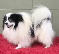 processed/33bafca4-0846-43f8-b47c-15976577b184/listing/208c0327-355b-4b7b-9982-6c0154cdb545/084945da-4c5a-43d8-994b-eccb90b817b3