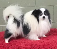 processed/33bafca4-0846-43f8-b47c-15976577b184/listing/208c0327-355b-4b7b-9982-6c0154cdb545/64dd0294-88ef-44fb-af8a-0566b8bc1c48