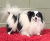 processed/33bafca4-0846-43f8-b47c-15976577b184/listing/208c0327-355b-4b7b-9982-6c0154cdb545/7c46bc97-b554-40a8-b061-aa9569a21c23