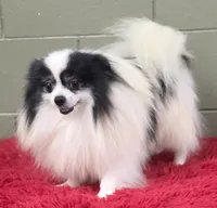 processed/33bafca4-0846-43f8-b47c-15976577b184/listing/208c0327-355b-4b7b-9982-6c0154cdb545/f2f25c73-5d0b-4d9e-8bca-a0d1a6b12165