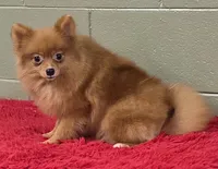 processed/33bafca4-0846-43f8-b47c-15976577b184/listing/93147e0b-bd62-439e-9efb-5ba67b83eaa8/33e74753-70ed-41f7-a071-876047d0ba5e