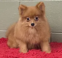 processed/33bafca4-0846-43f8-b47c-15976577b184/listing/93147e0b-bd62-439e-9efb-5ba67b83eaa8/446d8e8e-4d02-4cbf-aa8f-29e835ac1e2b