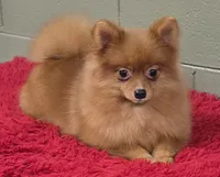 processed/33bafca4-0846-43f8-b47c-15976577b184/listing/93147e0b-bd62-439e-9efb-5ba67b83eaa8/58d226d9-bb2d-41b2-9814-80529facce4d