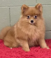 processed/33bafca4-0846-43f8-b47c-15976577b184/listing/93147e0b-bd62-439e-9efb-5ba67b83eaa8/9e8f24ca-16c2-41b0-9959-4295f66585fb