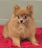 processed/33bafca4-0846-43f8-b47c-15976577b184/listing/93147e0b-bd62-439e-9efb-5ba67b83eaa8/a506488d-ecb5-4a74-8320-63666f04fcfb