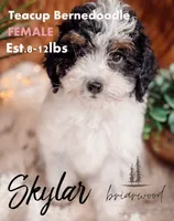 processed/33d4f1c6-7940-4410-a289-e4b571fb2210/listing/8107106c-1551-460e-85c7-ad03e713b6dc/3324acc5-1b27-46cb-ba01-ec05a2d2bb1e