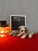 processed/33d78f08-2ad0-4c55-b060-0a3c3a3bfda4/listing/65241ccd-b1c5-45ed-bd3a-6a65f67e658a/1a02e548-89ff-46a7-b2cd-99ef87839897