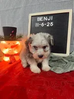 processed/33d78f08-2ad0-4c55-b060-0a3c3a3bfda4/listing/65241ccd-b1c5-45ed-bd3a-6a65f67e658a/636b66b0-a95c-44c8-beba-0d9d4ab13c50