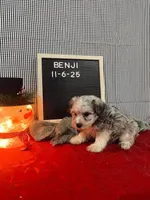 processed/33d78f08-2ad0-4c55-b060-0a3c3a3bfda4/listing/65241ccd-b1c5-45ed-bd3a-6a65f67e658a/82ad539d-0bd3-43af-a404-895474c92730