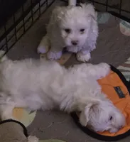 processed/33de193e-384d-4cee-a72e-db730817612e/facility/1e9b3413-2867-46bc-8305-c26c4cc330be