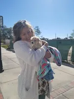 processed/33de193e-384d-4cee-a72e-db730817612e/facility/426ccf28-80d5-425f-9161-38a3bbf90f7e