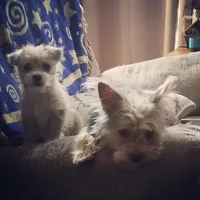 processed/33de193e-384d-4cee-a72e-db730817612e/facility/85aa94ca-9a1e-4e00-9b1d-ed67a91bf054